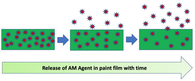 Depiction of the release of AM agent in paint with time - Learn how to Remain Bug Free with Antimicrobial Coatings