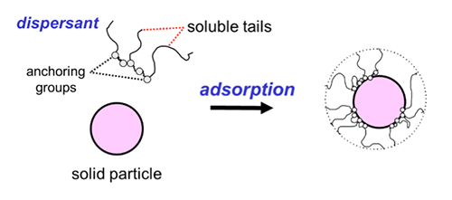 Absorption of dispersant molecules on the surface of a solid particle. 
