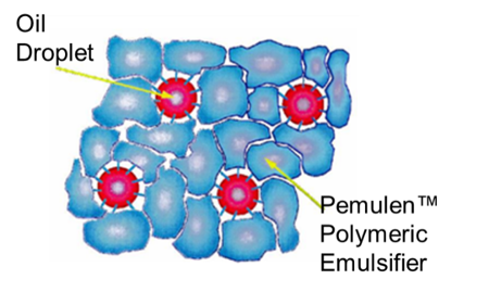 Emulsion stabilization mechanism of Pemulen™ polymeric emulsifiers. Learn more in the Prospector Knowledge Center.