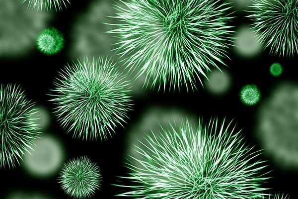 Microbes - learn about different types of antimicrobial materials and how they are used in antimicrobial coating formulation in the Knowledge Center.