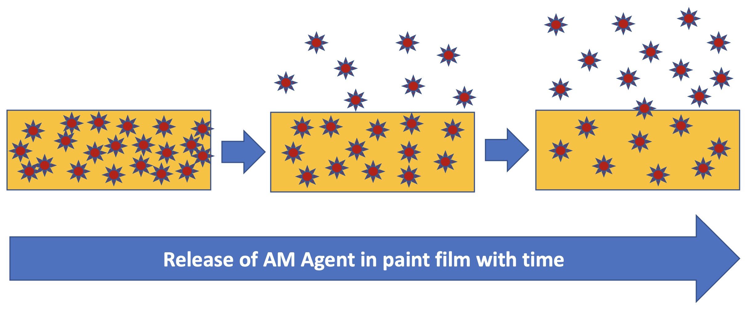 Release of AM Agent in paint film with time