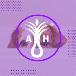 Acme Hardesty logo over dog face
