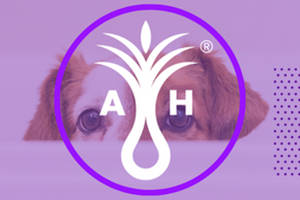 Acme Hardesty Co. logo over a dog face